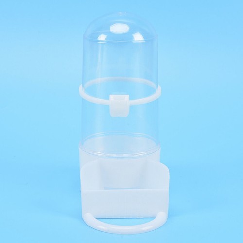 Bird pet drinker feeder - bird,