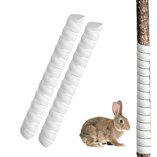 Corrugated tree guards - tree,
