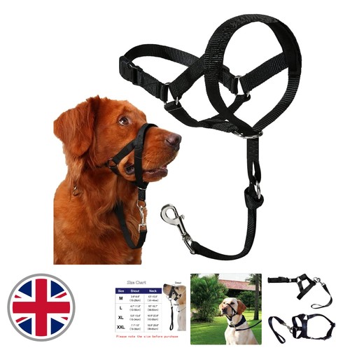 Comfortable dog head halter - comfortable,