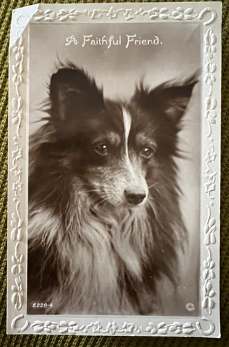 Antique postcard dog - antique,
