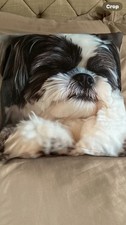 Shitzu Dog 2D Effect Cushion