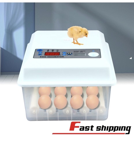 Eggs incubator automatic - 16,