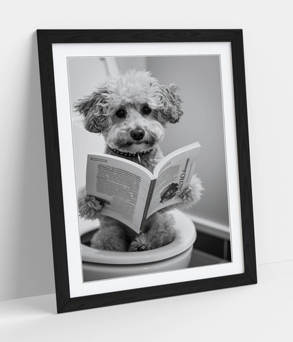 Toy poodle dog reading - toy, on