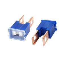 2x 100A Amp Pal Fuses Male