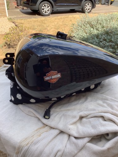 2019 harley davidson - 2019, sport