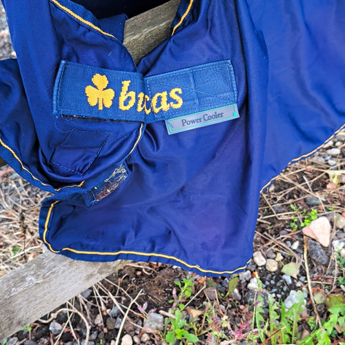 Bucas prize cooler - cooler, blue