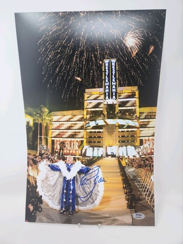 Wwe wwf wrestlemania ric flair - wwf,