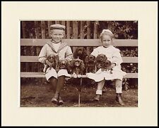 KING CHARLES ENGLISH TOY