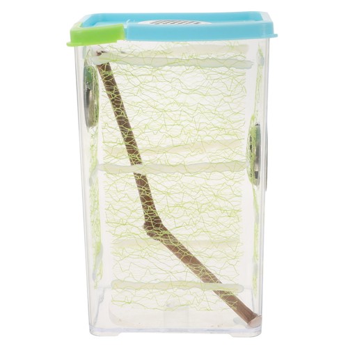 Aquarium centipede specimen - aquarium,