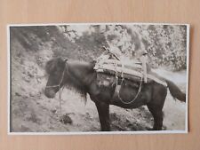 Pony With Balkan Pack Saddle. Jajce, Bosnia. Postcard Sized Photograph. J16