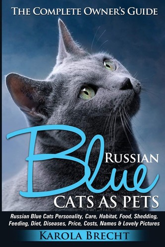 Russian blue cats pets - blue,