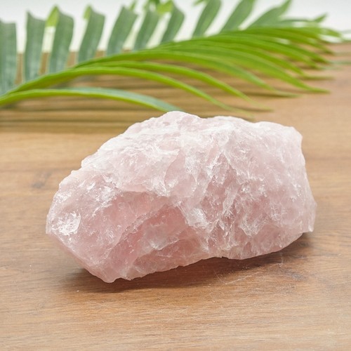 Large rough rose - rough,