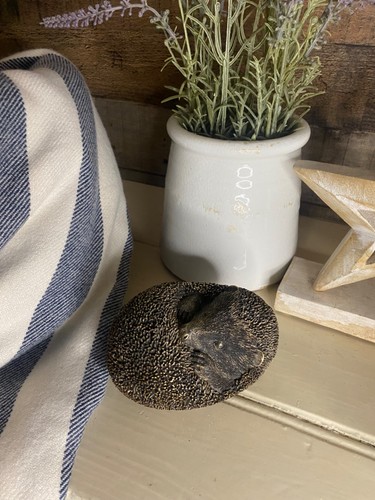 Next sleeping hedgehog - next,