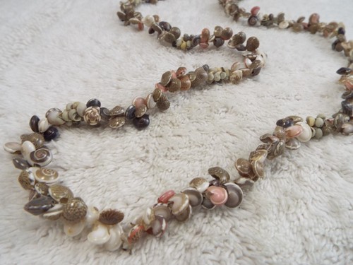 Mini brown white shell - brown,
