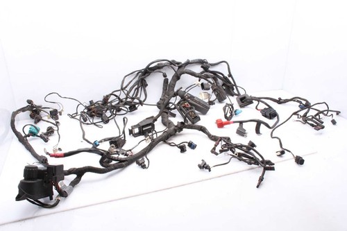 Main wiring harness bmw 1200 - wiring,