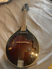 Mandolin- Electro Acoustic-
