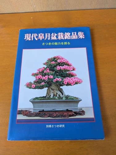 Modern satsuki bonsai - modern,