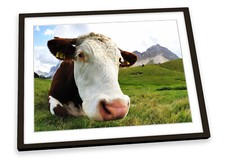 Highland Cow FRAMED ART PRINT Picture Poster Artwork