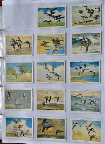 John player wildfowl 1937 - john,