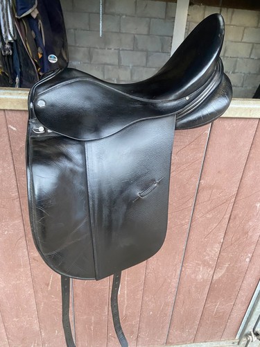 Albion platinum dressage - platinum,
