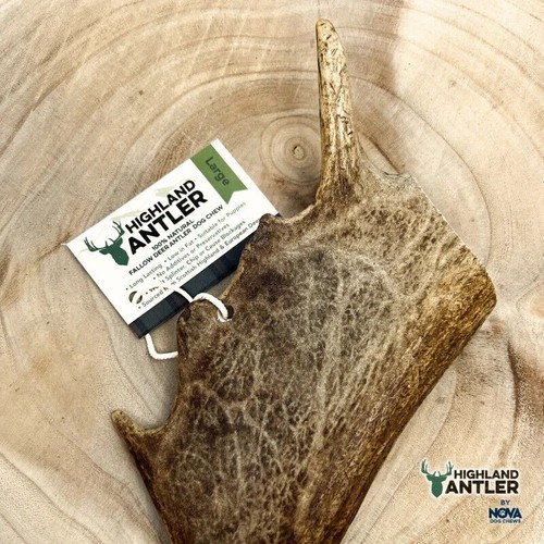 Highland fallow antler large - highland,
