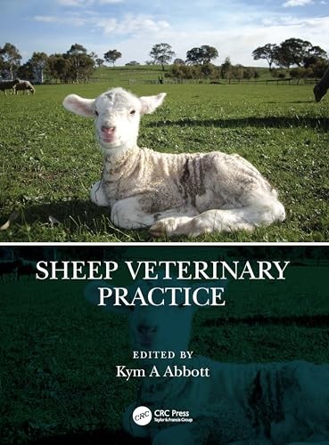 Sheep veterinary practice - sheep,