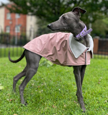 Lurcher / Whippet Waterproof
