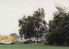 Photo 6x4 alton park junior - 6x4,
