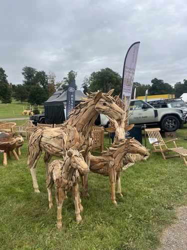 Teak driftwood giant - teak,