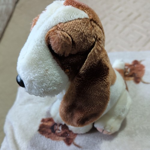 Hush puppies brown - hush,