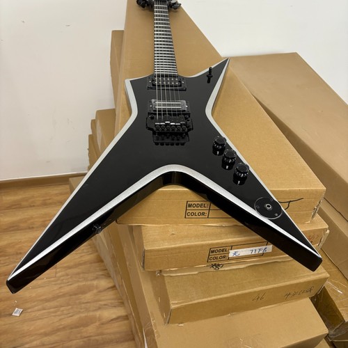 Washburn dimebag electric - washburn,
