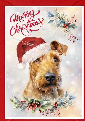 Irish terrier dog - a6, 6")