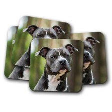 4 Set - Blue American Staffy