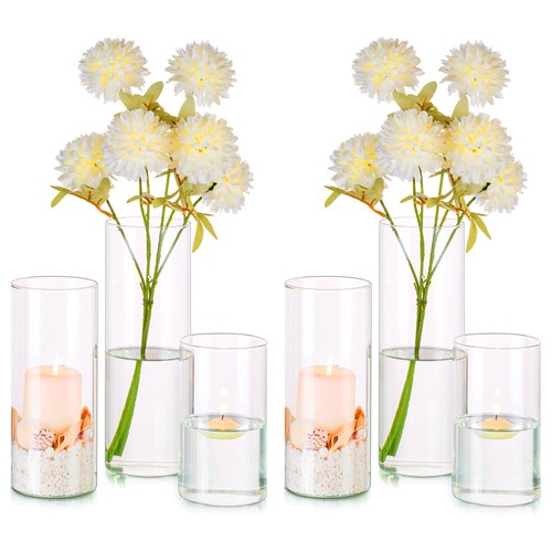 Glass cylinder vases set 6 - vases,