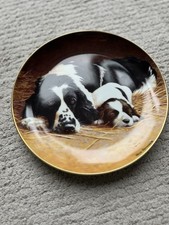 Franklin Mint Springer Spaniel