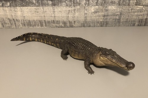Rebor deinosuchus hatcheri - rebor,