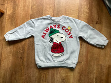 Peanuts Snoopy sweatshirt /