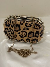 Beth Jordan Leopard Animal