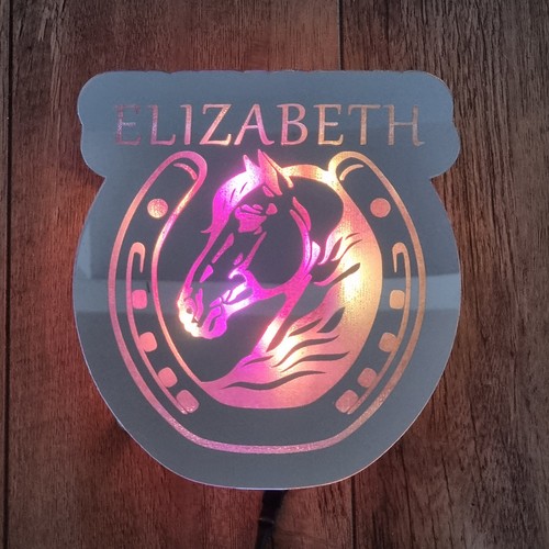 Horse and shoe rainbow led - horse,