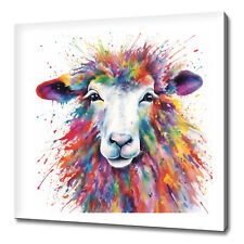 Beautiful Colourful Sheep