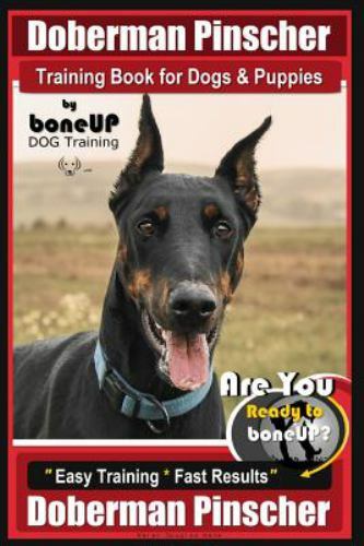 Doberman pinscher training - pinscher,