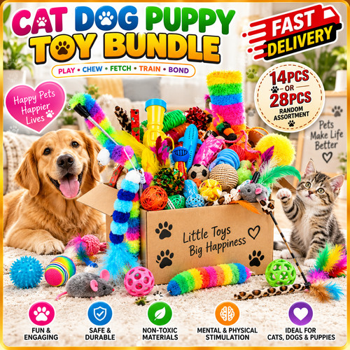 Cat dog puppy - cat, 14