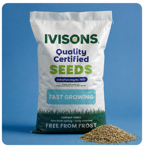 Super fast growing grass - fast,
