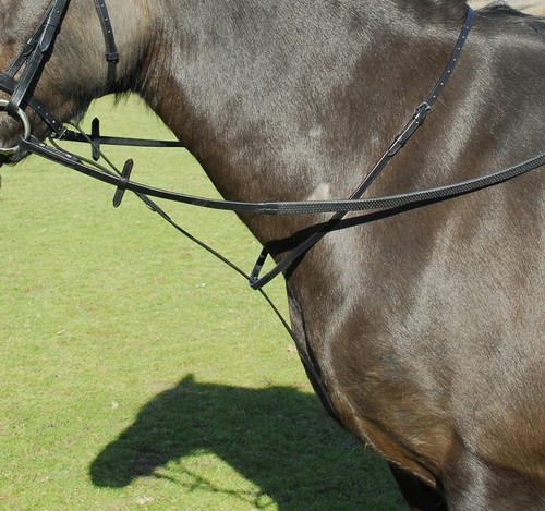 Windsor standing martingale - standing,