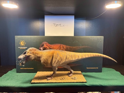 Everything dinosaur evolution - everything,