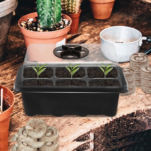 Seedling trays seeds starter - trays,