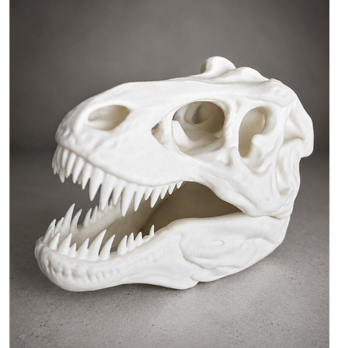 Rex skull dinosaur fossil - t-rex,