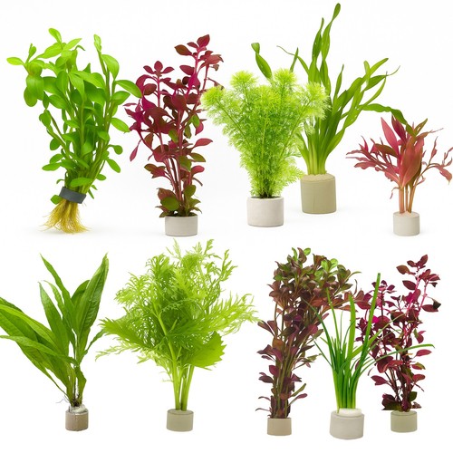 10x aquarium plants starter - aquarium,