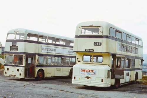 Bus photo south - bus,
