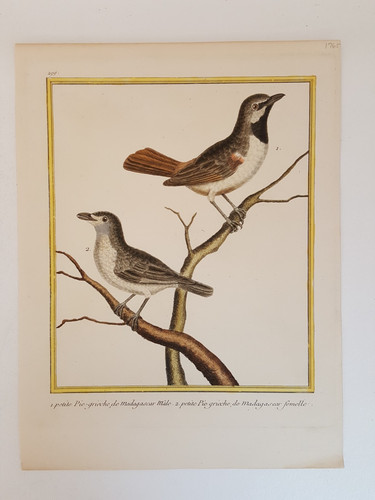 Antique 1765 hand colored